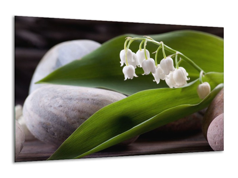 Canvas schilderij Bloemen | Groen, Wit, Grijs | 120x70cm 1Luik