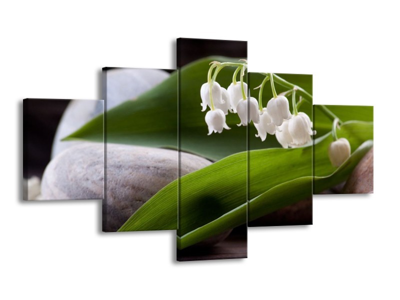 Glas schilderij Bloemen | Groen, Wit, Grijs | 125x70cm 5Luik