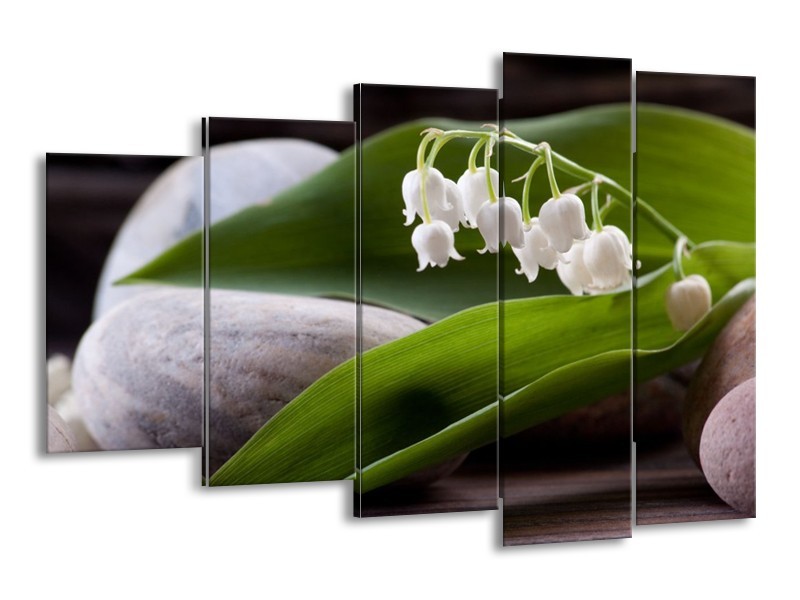 Glas schilderij Bloemen | Groen, Wit, Grijs | 150x100cm 5Luik