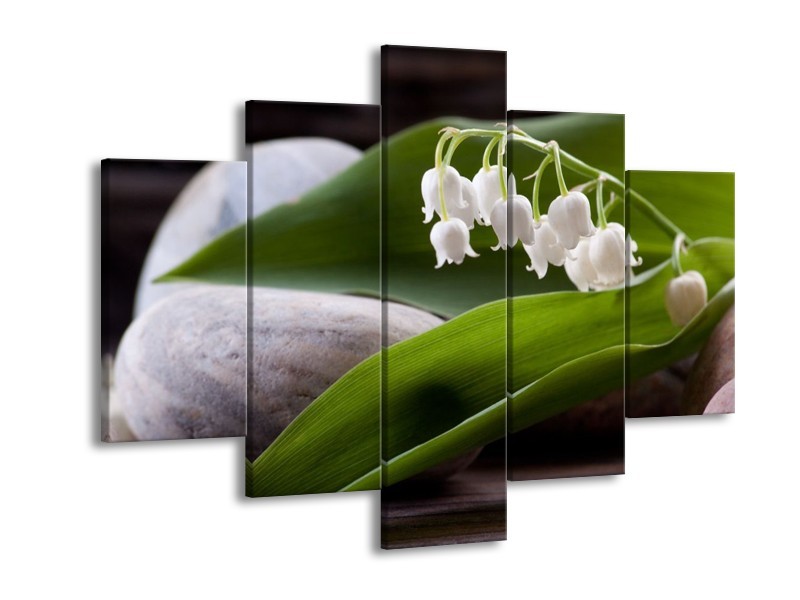 Glas schilderij Bloemen | Groen, Wit, Grijs | 150x105cm 5Luik