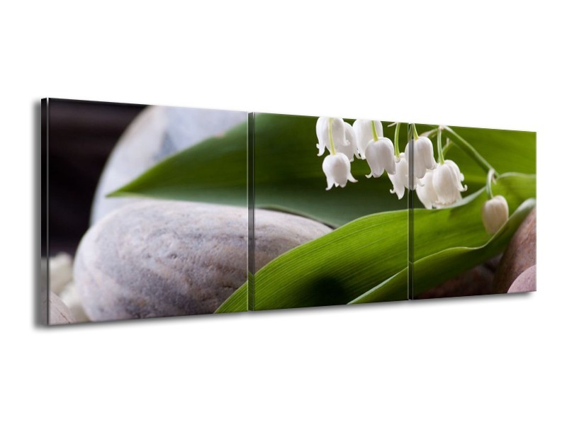 Canvas schilderij Bloemen | Groen, Wit, Grijs | 150x50cm 3Luik