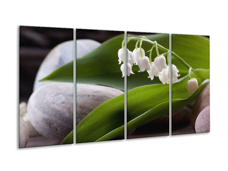 Canvas schilderij Bloemen | Groen, Wit, Grijs | 160x80cm 4Luik