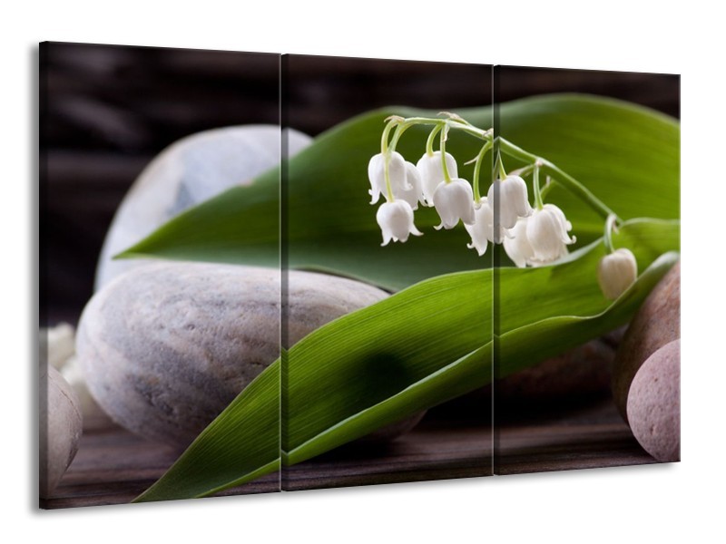 Canvas schilderij Bloemen | Groen, Wit, Grijs | 165x100cm 3Luik