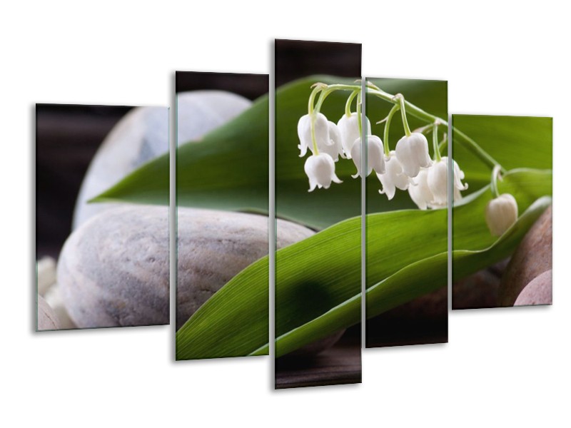 Glas schilderij Bloemen | Groen, Wit, Grijs | 170x100cm 5Luik