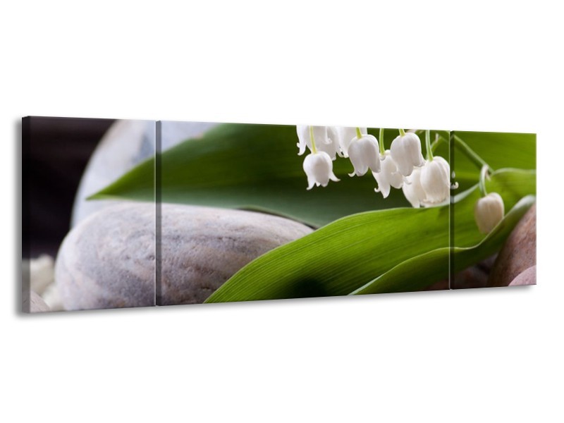 Glas schilderij Bloemen | Groen, Wit, Grijs | 170x50cm 3Luik