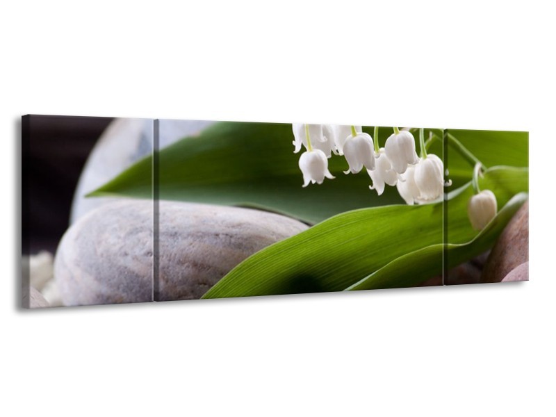 Canvas schilderij Bloemen | Groen, Wit, Grijs | 170x50cm 3Luik