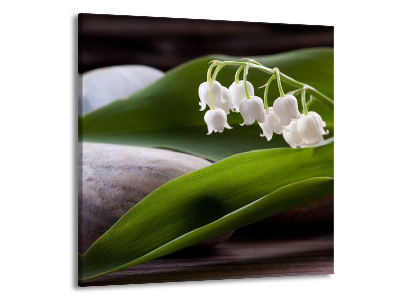 Glas schilderij Bloemen | Groen, Wit, Grijs | 70x70cm 1Luik
