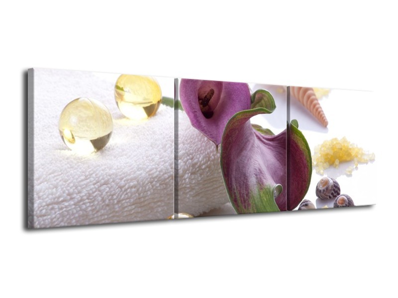 Canvas schilderij Spa | Paars, Wit | 120x40cm 3Luik