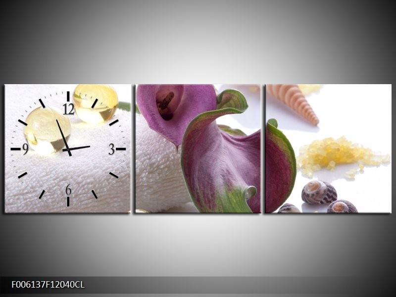 Klok schilderij Spa | Paars, Wit | 120x40cm 3Luik