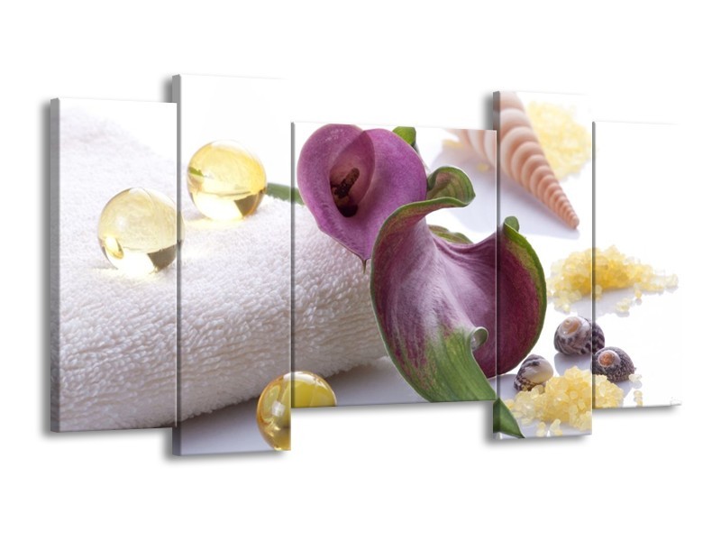 Canvas schilderij Spa | Paars, Wit | 120x65 5Luik