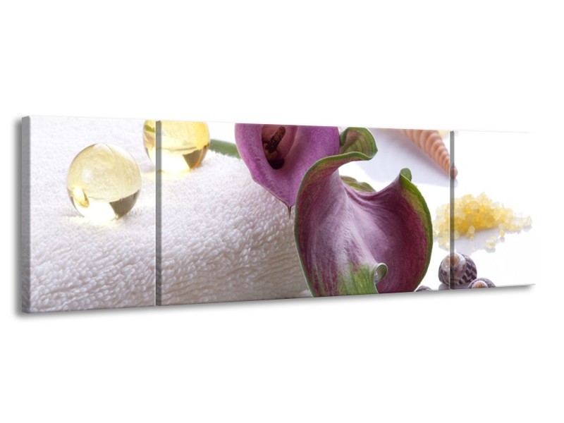 Canvas schilderij Spa | Paars, Wit | 170x50cm 3Luik