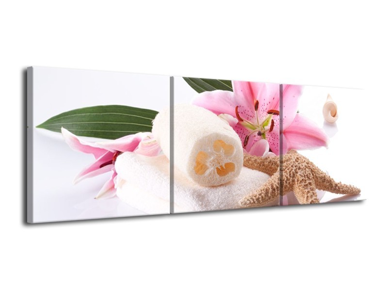 Canvas schilderij Spa | Roze, Wit | 120x40cm 3Luik