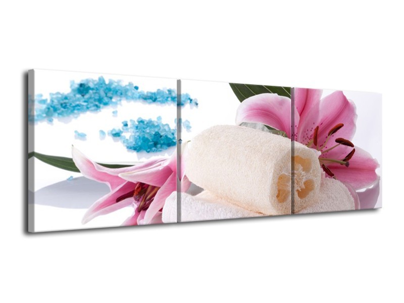 Canvas schilderij Spa | Roze, Wit, Blauw | 120x40cm 3Luik