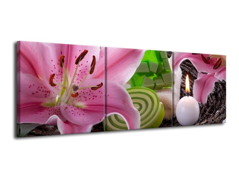 Glas schilderij Spa | Roze, Groen | 120x40cm 3Luik