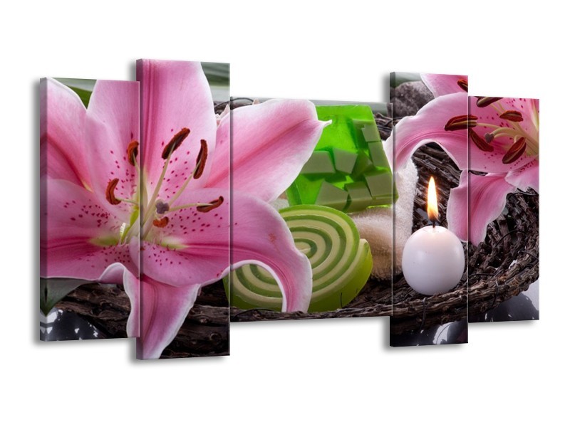 Canvas schilderij Spa | Roze, Groen | 120x65 5Luik