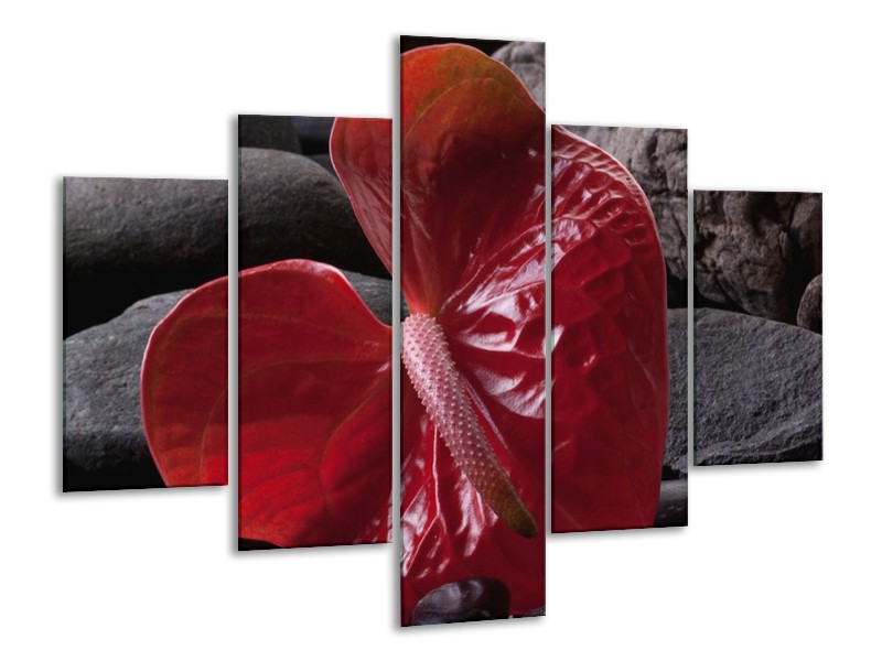 Glas schilderij Spa | Rood, Grijs, Zwart | 100x70cm 5Luik