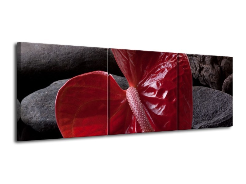 Canvas schilderij Spa | Rood, Grijs, Zwart | 120x40cm 3Luik