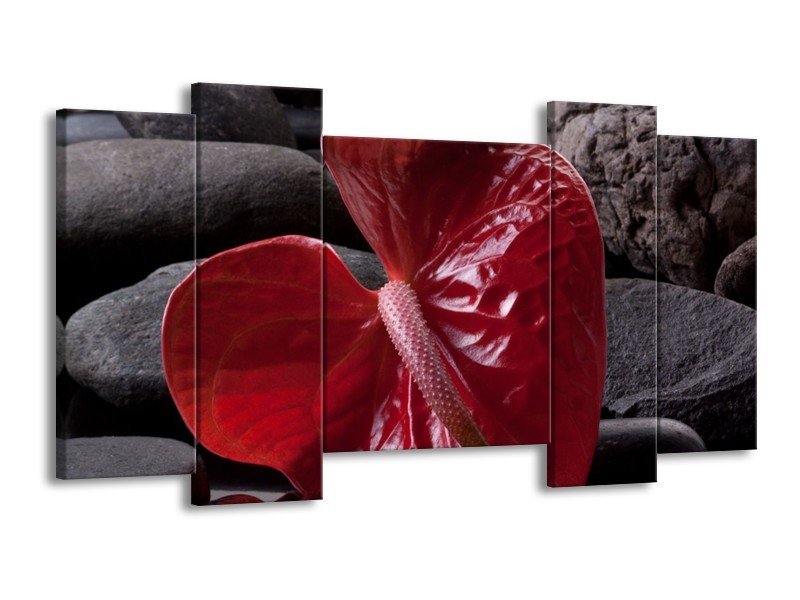 Canvas schilderij Spa | Rood, Grijs, Zwart | 120x65 5Luik