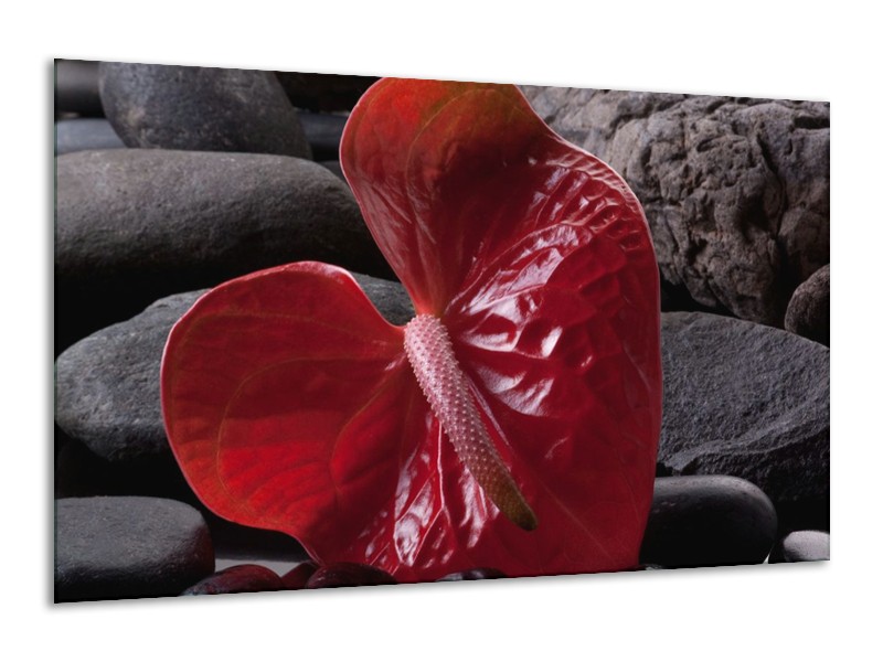 Canvas schilderij Spa | Rood, Grijs, Zwart | 120x70cm 1Luik