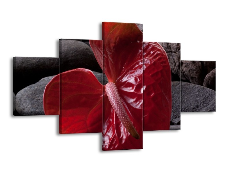Glas schilderij Spa | Rood, Grijs, Zwart | 125x70cm 5Luik