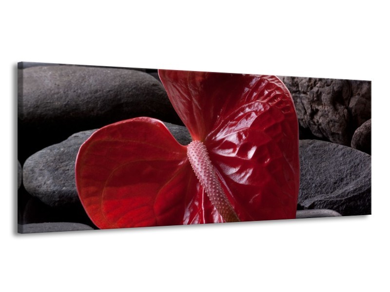 Canvas schilderij Spa | Rood, Grijs, Zwart | 145x58cm 1Luik