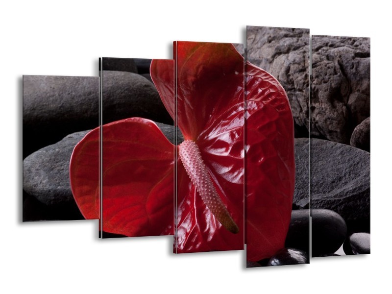 Glas schilderij Spa | Rood, Grijs, Zwart | 150x100cm 5Luik