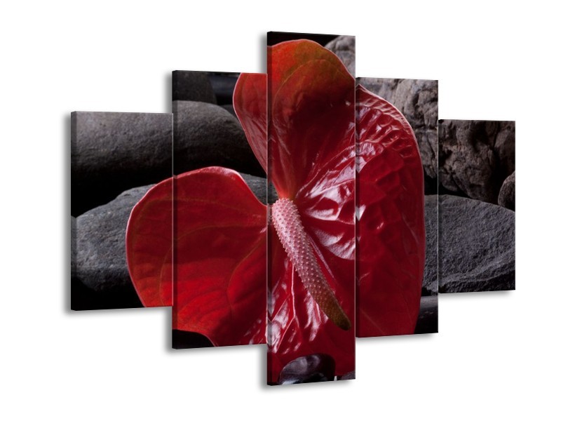 Glas schilderij Spa | Rood, Grijs, Zwart | 150x105cm 5Luik