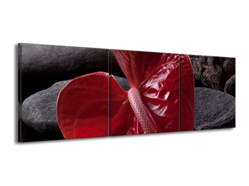 Canvas schilderij Spa | Rood, Grijs, Zwart | 150x50cm 3Luik