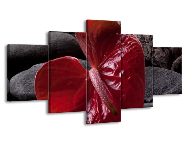 Glas schilderij Spa | Rood, Grijs, Zwart | 150x80cm 5Luik