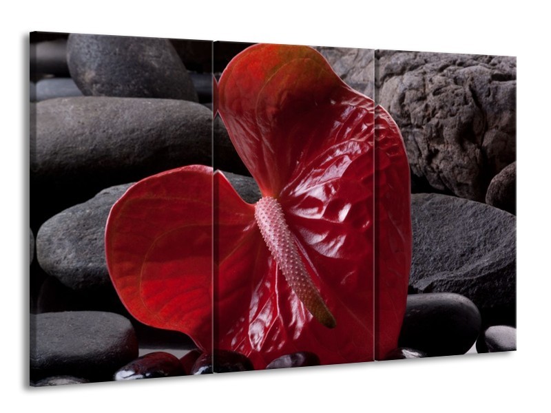 Glas schilderij Spa | Rood, Grijs, Zwart | 165x100cm 3Luik