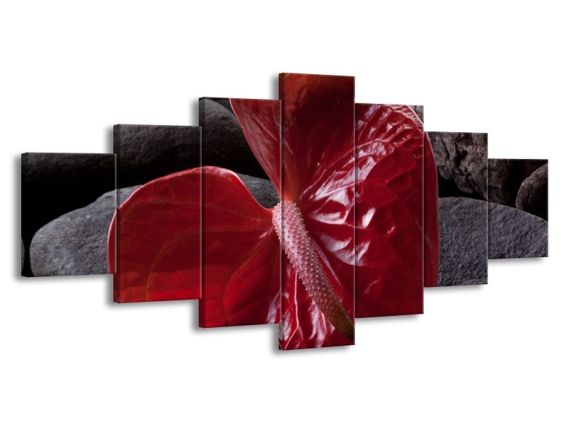 Glas schilderij Spa | Rood, Grijs, Zwart | 210x100cm 7Luik