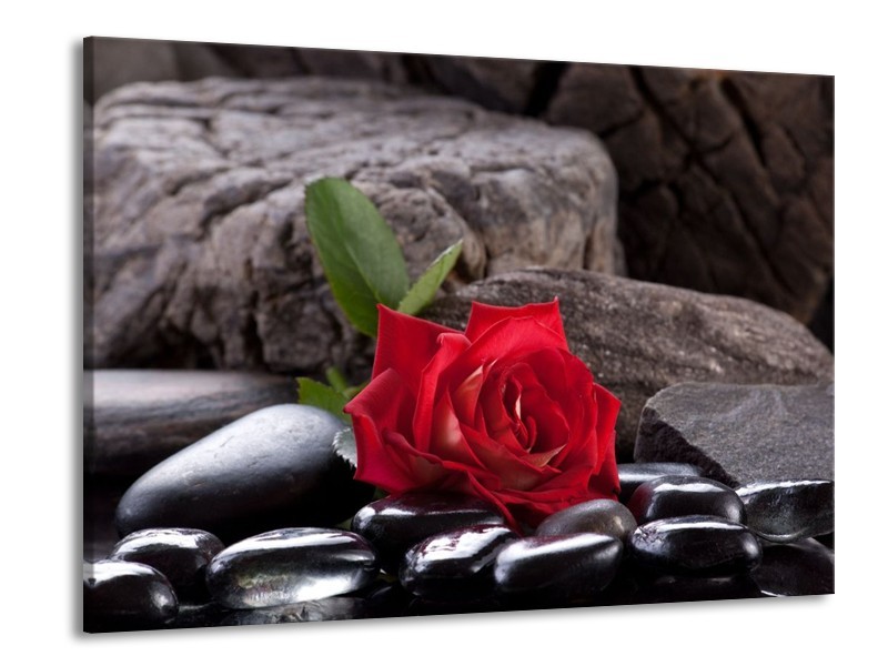 Glas schilderij Roos | Rood, Zwart | 100x70cm 1Luik