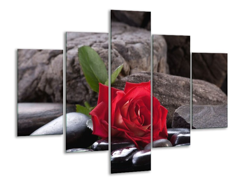Glas schilderij Roos | Rood, Zwart | 100x70cm 5Luik