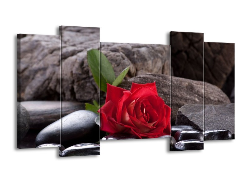 Canvas schilderij Roos | Rood, Zwart | 120x65 5Luik