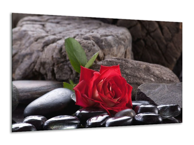 Canvas schilderij Roos | Rood, Zwart | 120x70cm 1Luik