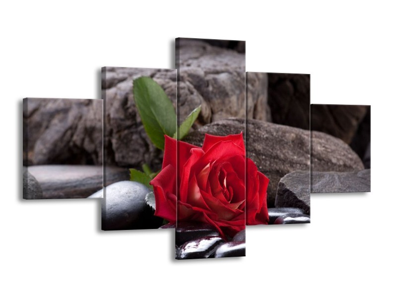 Glas schilderij Roos | Rood, Zwart | 125x70cm 5Luik