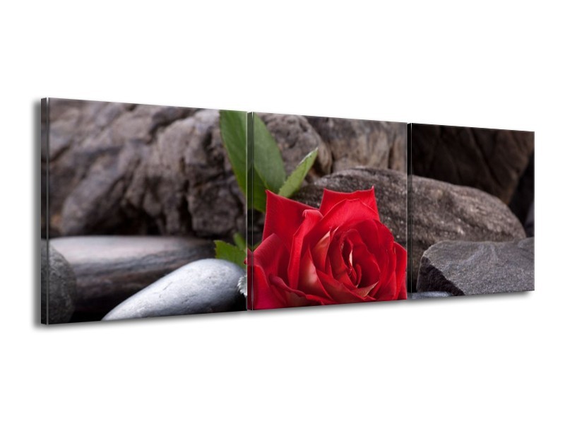 Glas schilderij Roos | Rood, Zwart | 150x50cm 3Luik
