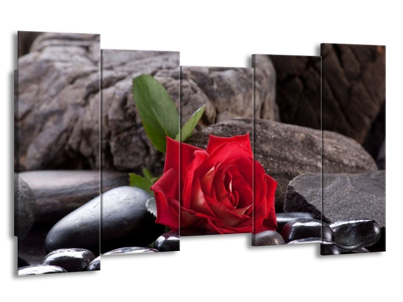 Glas schilderij Roos | Rood, Zwart | 150x80cm 5Luik