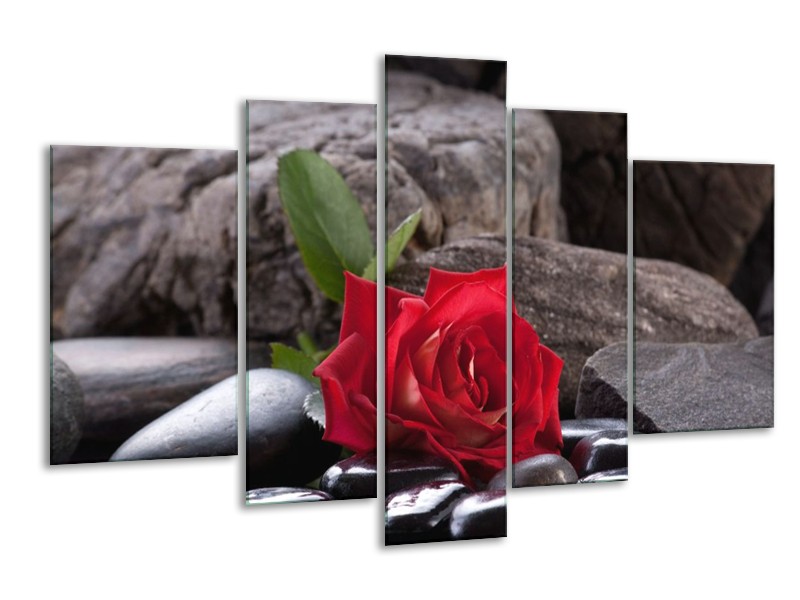 Glas schilderij Roos | Rood, Zwart | 170x100cm 5Luik