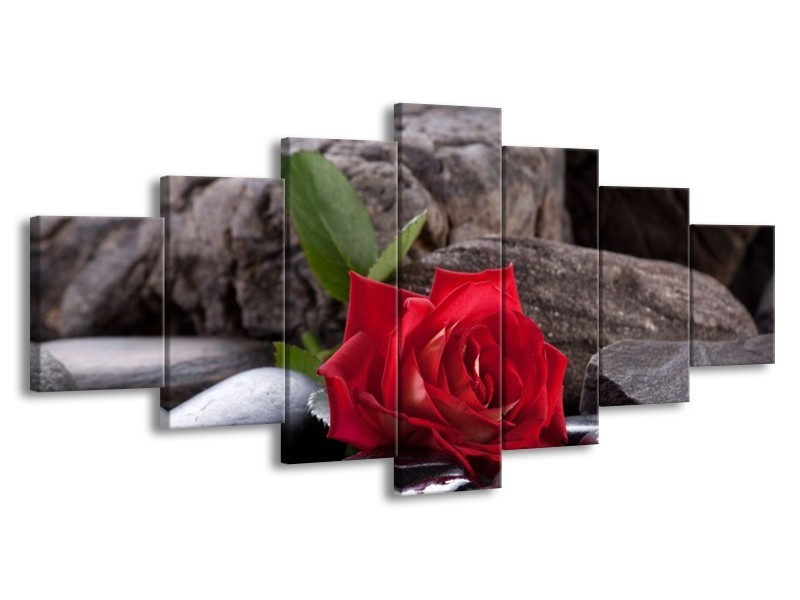 Glas schilderij Roos | Rood, Zwart | 210x100cm 7Luik