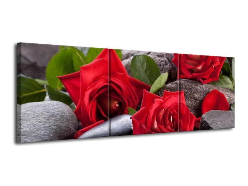 Glas schilderij Roos | Rood, Zwart, Groen | 120x40cm 3Luik