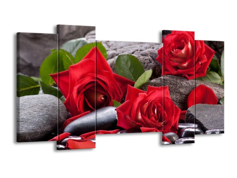 Canvas schilderij Roos | Rood, Zwart, Groen | 120x65 5Luik