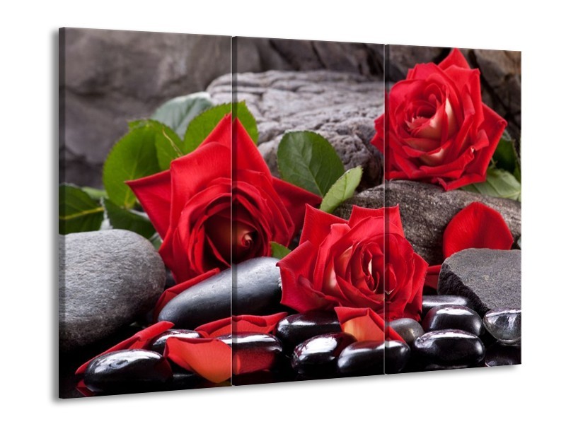 Canvas schilderij Roos | Rood, Zwart, Groen | 90x60cm 3Luik