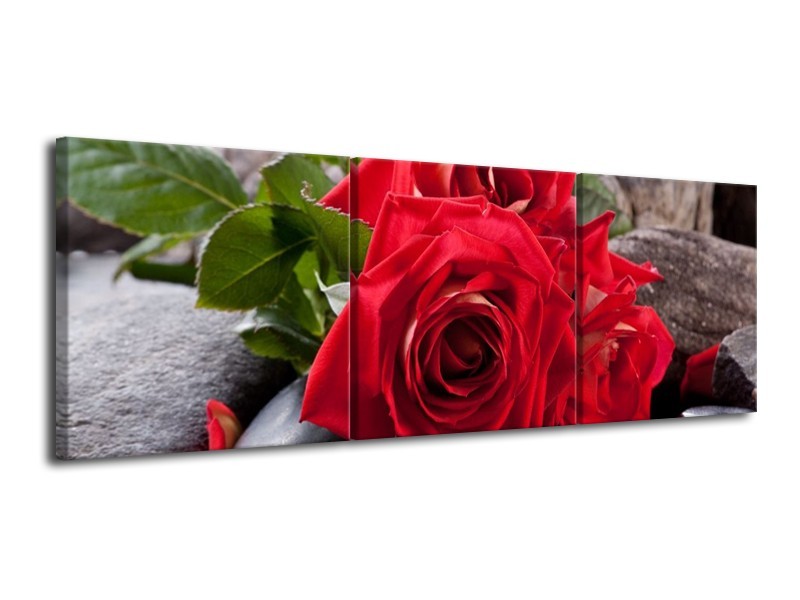 Canvas schilderij Roos | Rood, Zwart, Groen | 120x40cm 3Luik