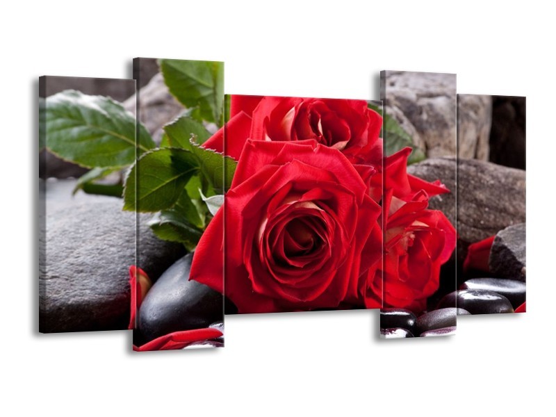 Canvas schilderij Roos | Rood, Zwart, Groen | 120x65 5Luik