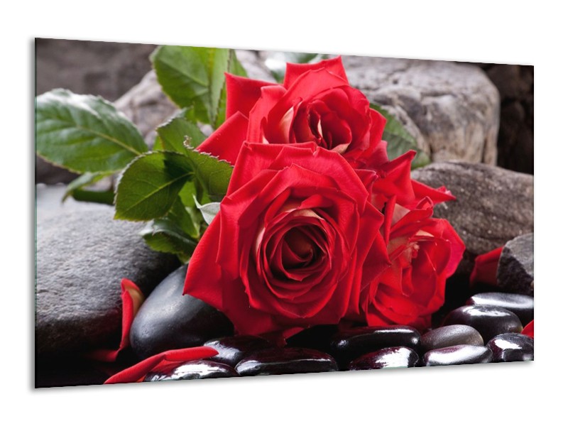 Canvas schilderij Roos | Rood, Zwart, Groen | 120x70cm 1Luik
