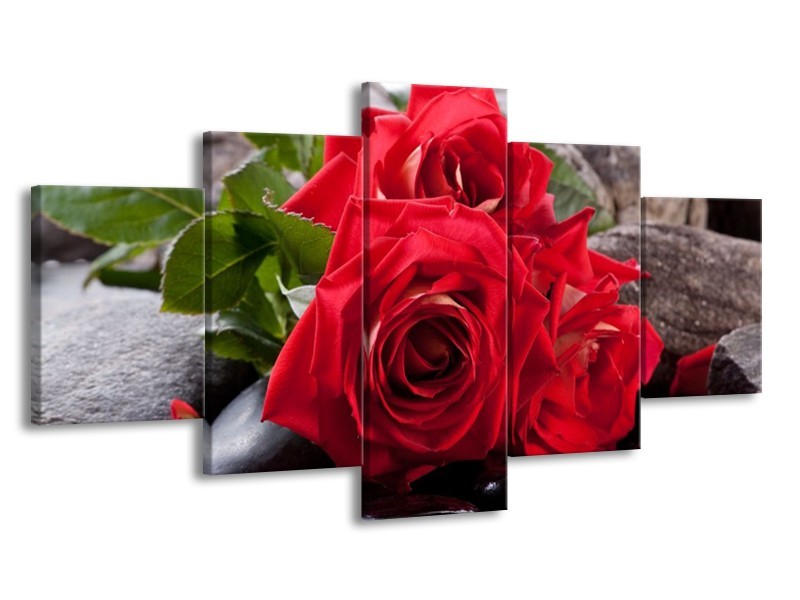 Glas schilderij Roos | Rood, Zwart, Groen | 150x80cm 5Luik