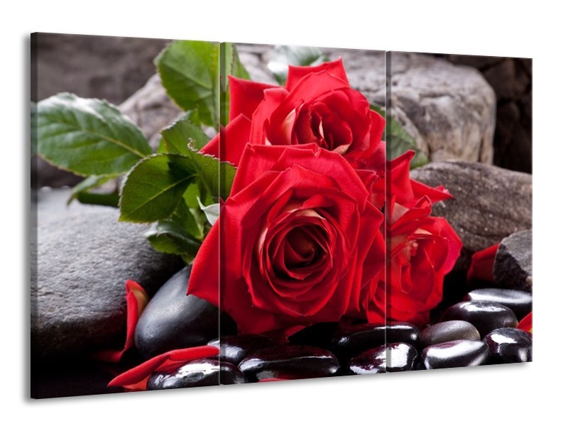 Glas schilderij Roos | Rood, Zwart, Groen | 165x100cm 3Luik