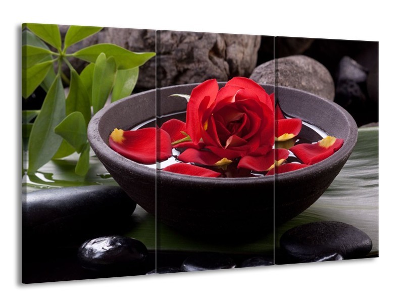 Glas schilderij Roos | Rood, Zwart, Groen | 165x100cm 3Luik