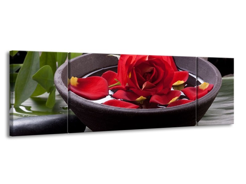 Glas schilderij Roos | Rood, Zwart, Groen | 170x50cm 3Luik